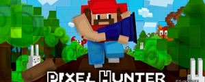 Pixel Hunter (PSN)